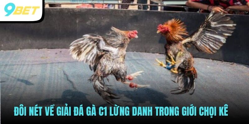 Đôi nét về giải Đá gà C1 lừng danh trong giới chọi kê